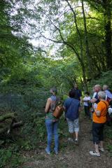 VodnikiBK9_P1000644 (Medium)